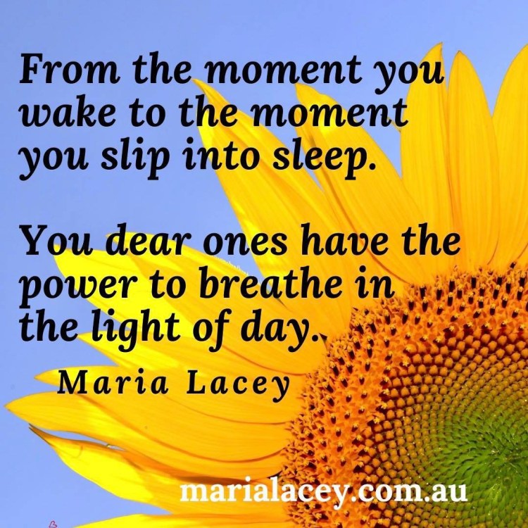 CDDCC367-76A4-463D-924E-70C4B632B80F